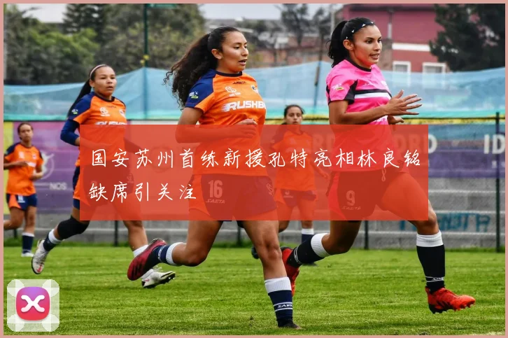 国安苏州首练新援孔特亮相林良铭缺席引关注