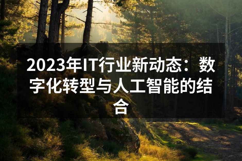 2023年IT行业新动态：数字化转型与人