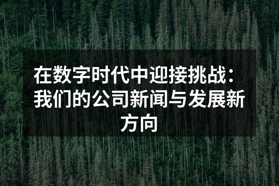 在数字时代中迎接挑战：我们的公司新闻与发