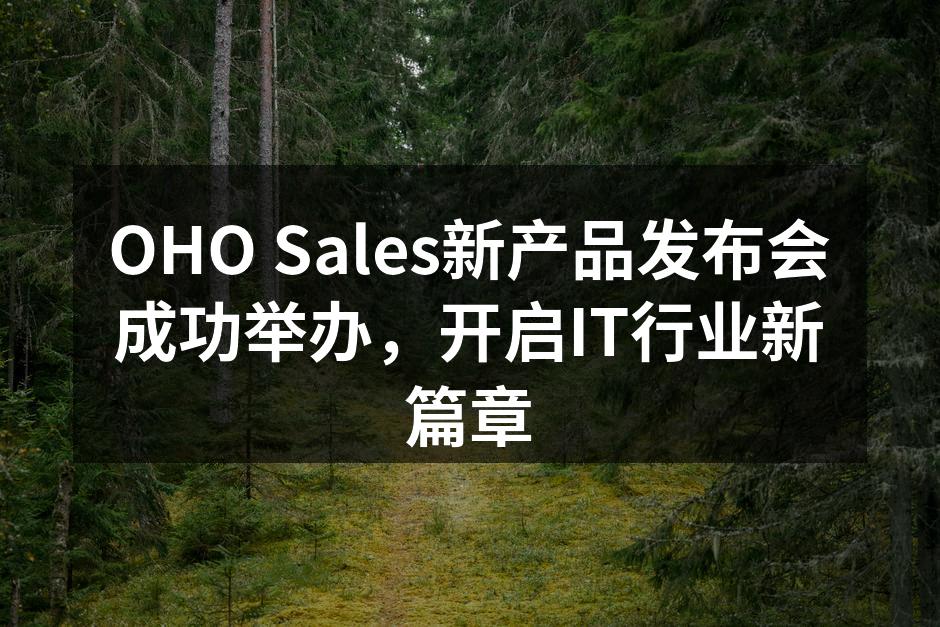 OHO Sales新产品发布会现场